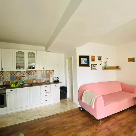 Authentic With Terrace- Complete Privacy Villa Mocici